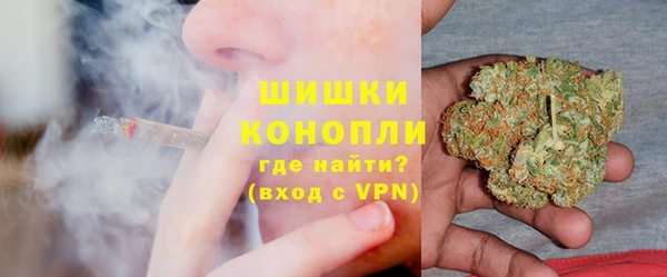 твердый Горняк