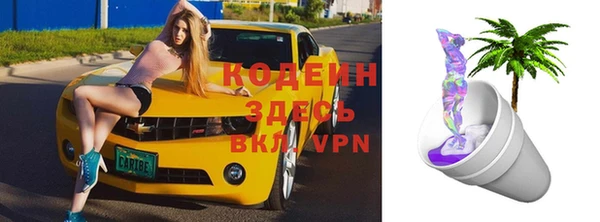 твердый Горняк