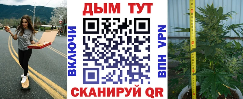 Шишки марихуана SATIVA & INDICA  Купить где  Краснокамск 